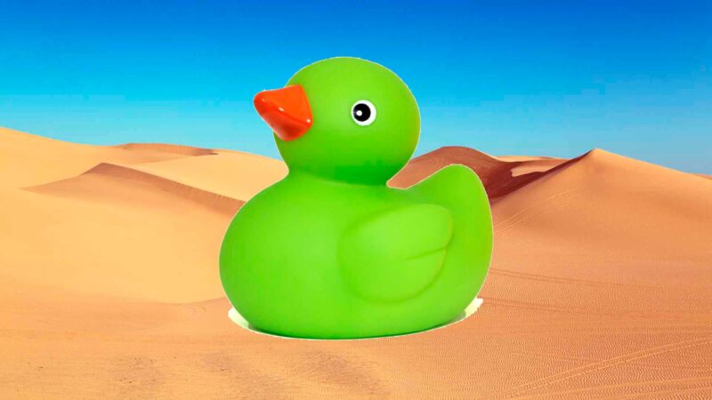 En grøn and på sand